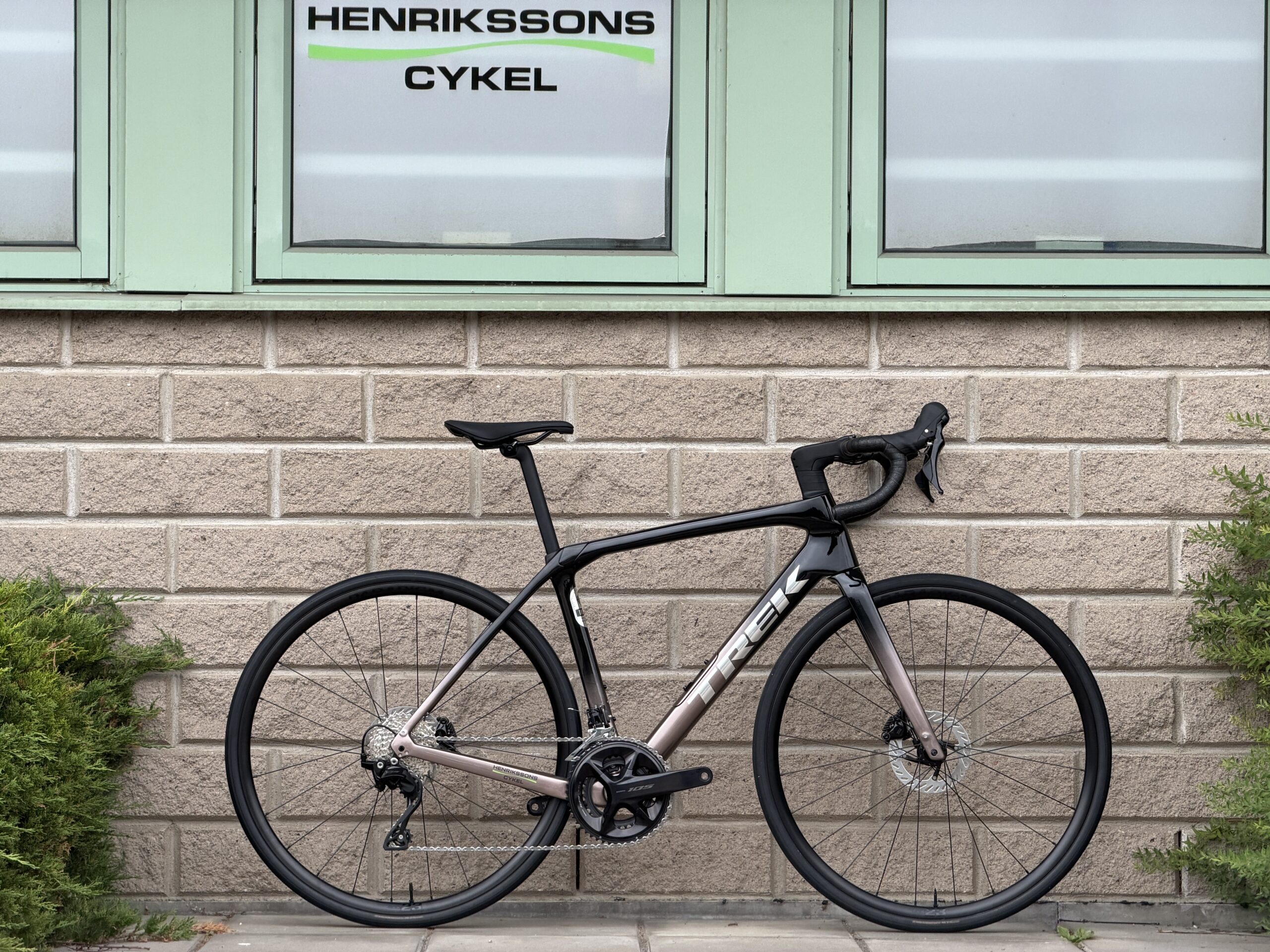 Domane SL 5 Gen 4 - Bild 1