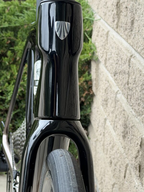 Domane SL 5 Gen 4