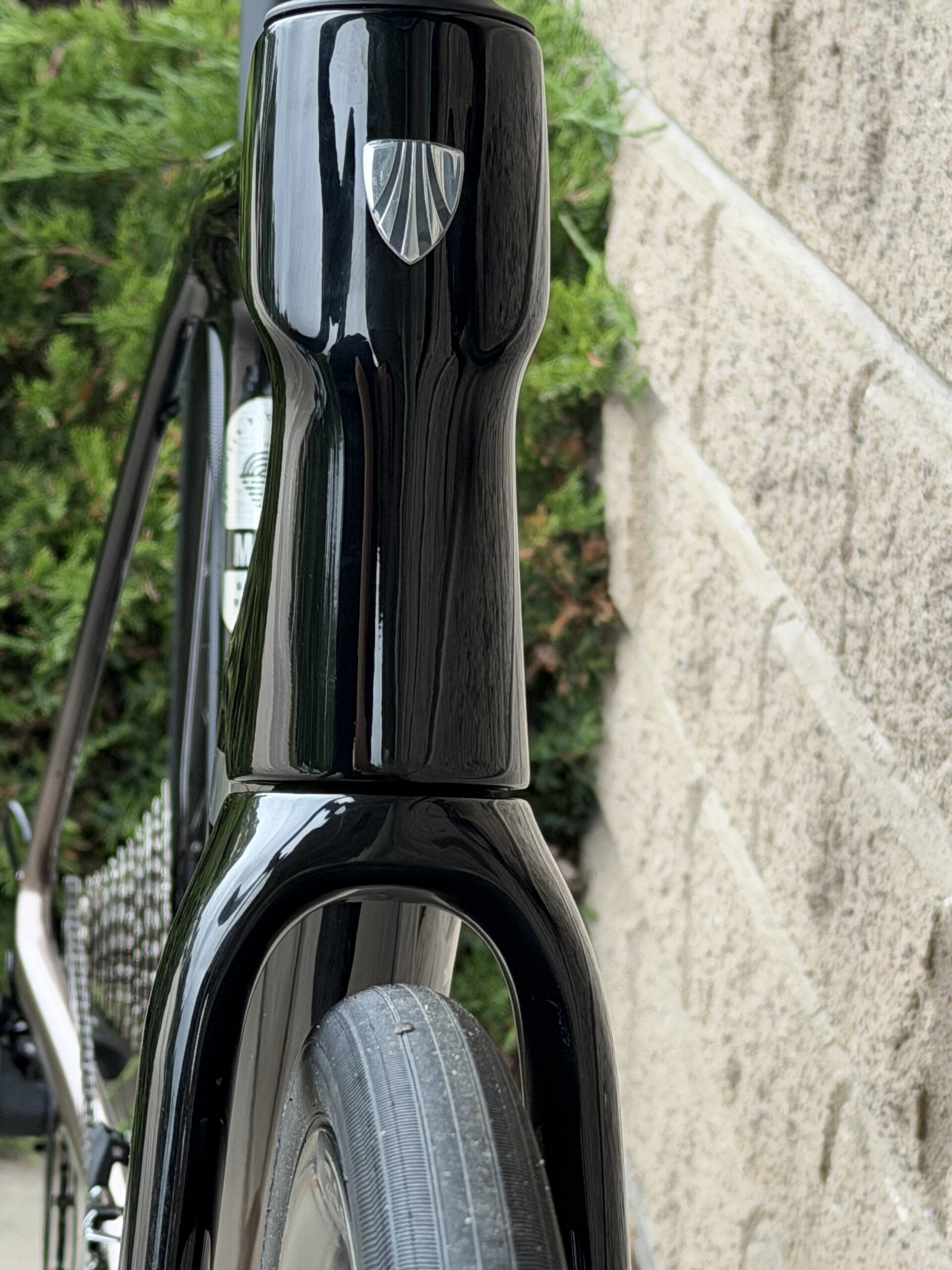 Domane SL 5 Gen 4 - Bild 6