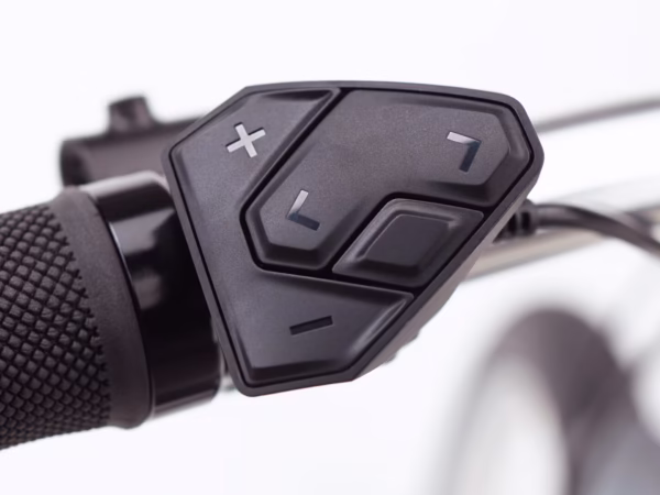 Townie Path Go! 10D EQ Step-Thru