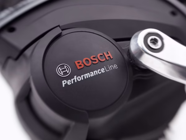 Townie Path Go! 10D EQ Step-Thru