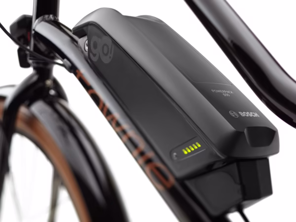 Townie Go! 5i EQ Step-Thru