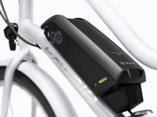 Townie Go! 5i EQ Step-Thru