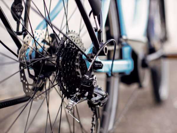 Verve+ 2 Lowstep Gen 2