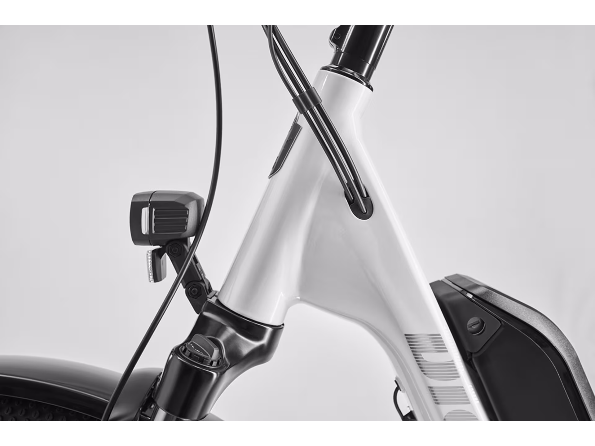 Zing Trip Plus (lowstep-ram) - Bild 6