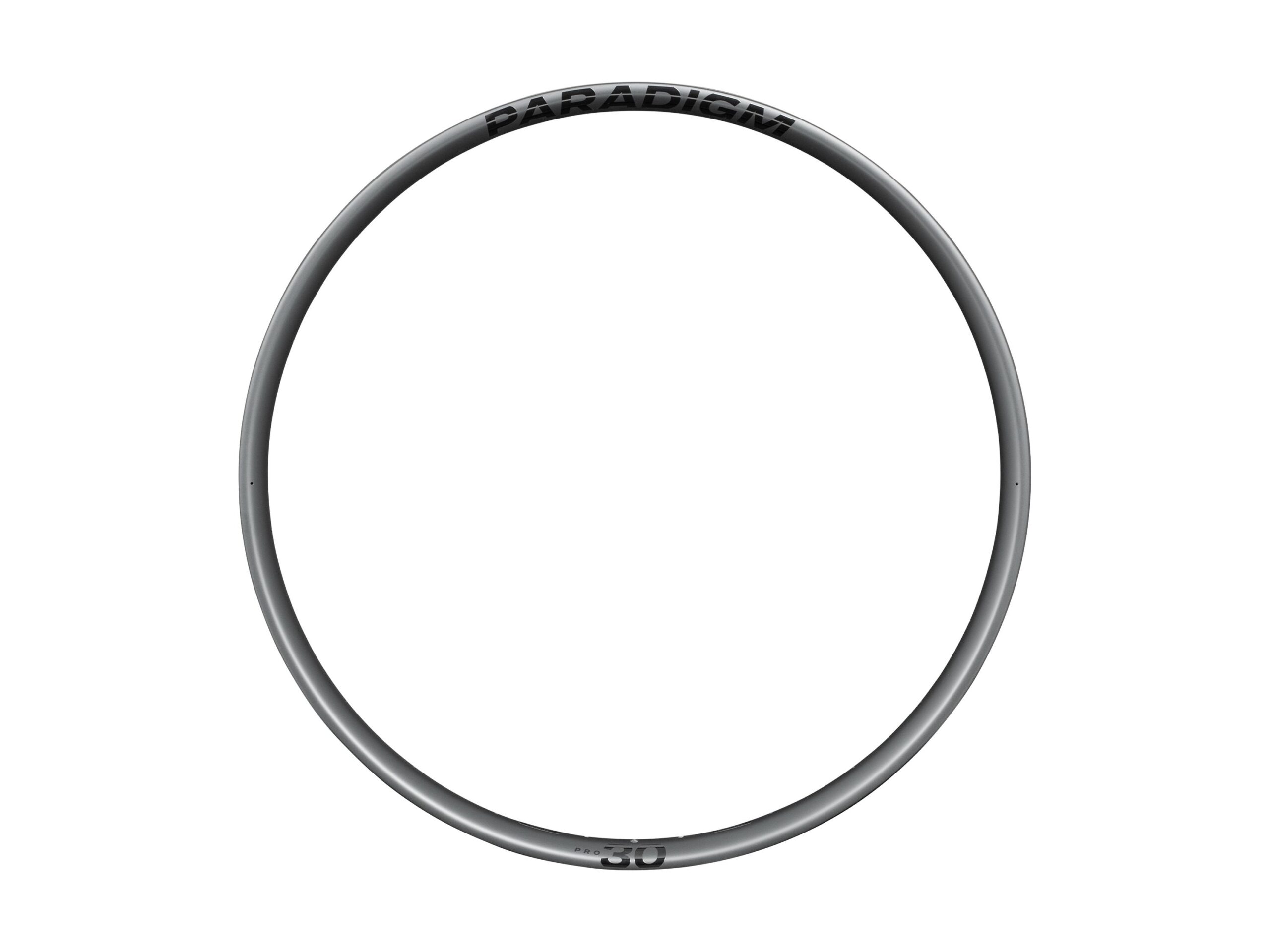 Bontrager Paradigm Pro 30 Rim