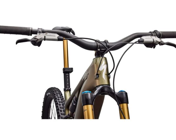 S-Works Turbo Levo 4