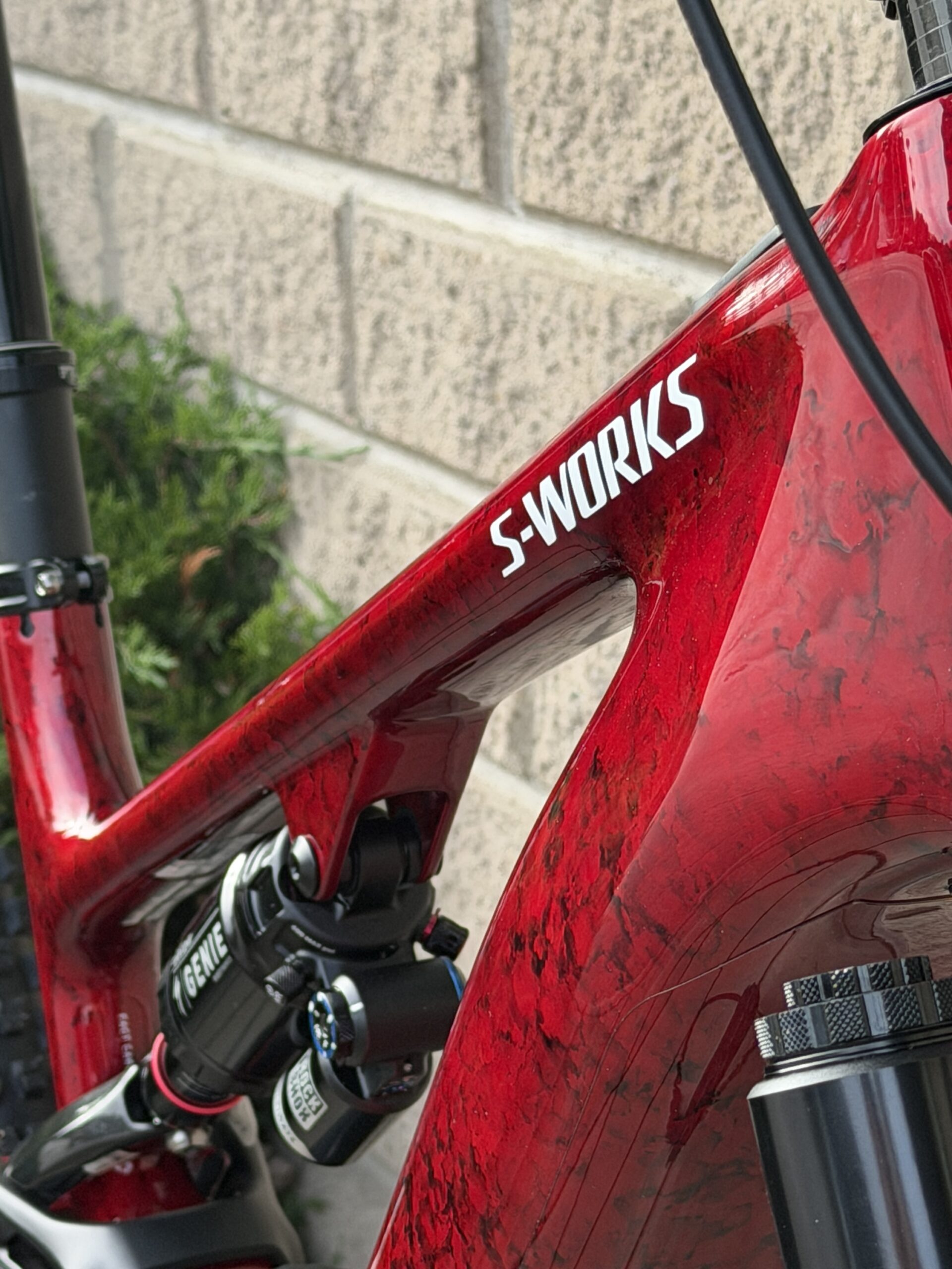 S-Works Turbo Levo 4 - Bild 4